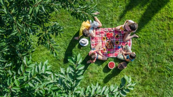 Dónde hacer un picnic en Valencia