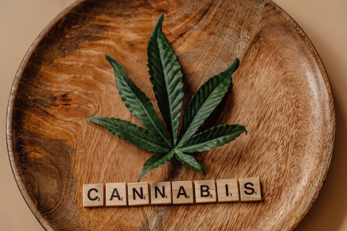 Clubs de cannabis en Zaragoza