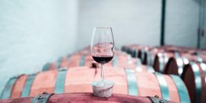 Las mejores bodegas en Ribera del Duero