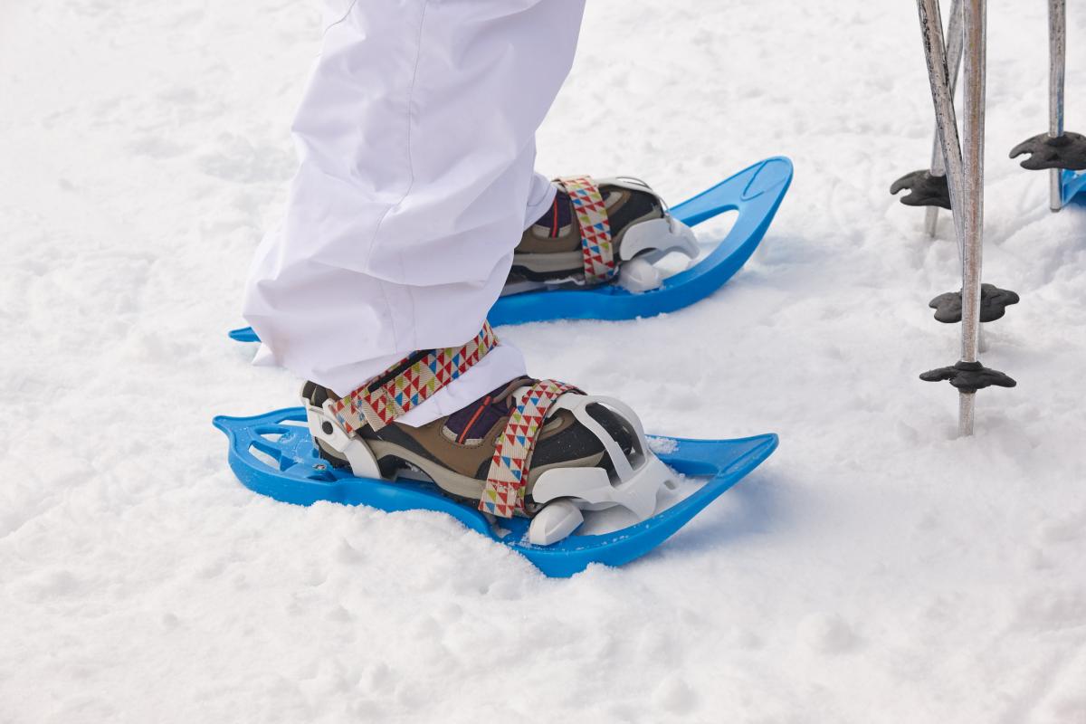 Dónde comprar raquetas de nieve en Pamplona