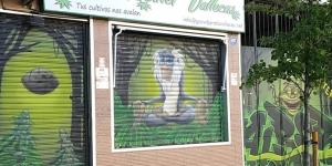 Growbarato.net Vallecas
