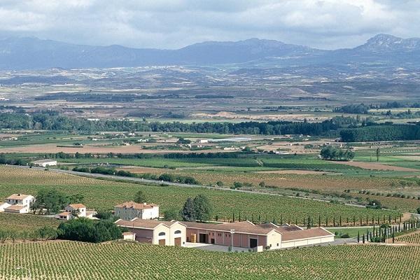 Bodegas y Viñedos del Marqués de Vargas