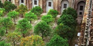 Patio de los Naranjos
