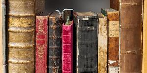 Librería Anticuaria Luces de Bohemia