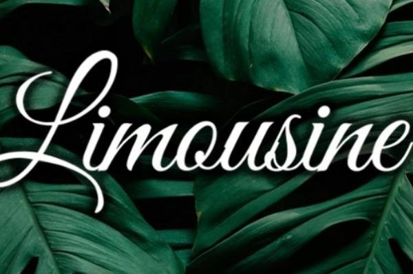 Discoteca Limousine Alicante