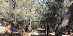 Área recreativa de Son Trias