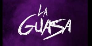 La Guasa
