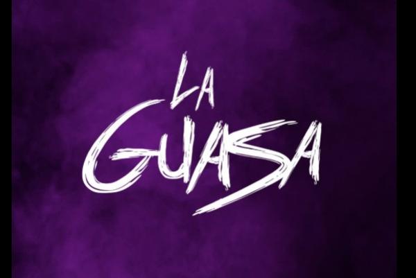 La Guasa