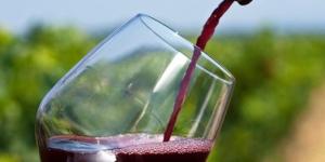 Bodega Ecológica Luis Saavedra