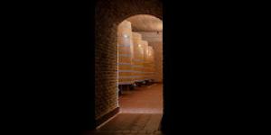 Bodegas Vega Sicilia