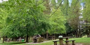 Área recreativa El Vivero