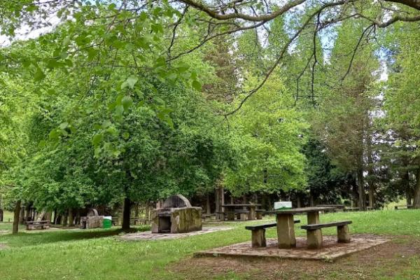 Área recreativa El Vivero