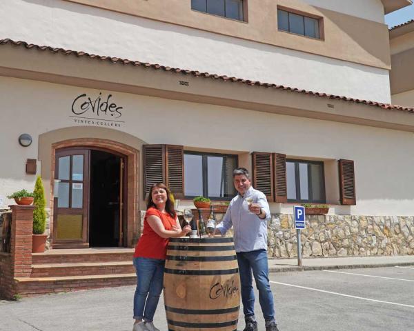 Bodegas Covides