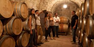 Bodega Oller del Mas