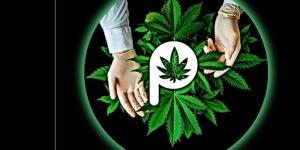 Planta-T Grow Shop