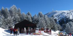 Bar Cap del Bosc