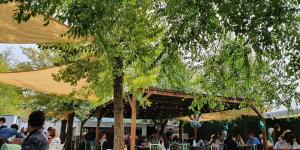 La Terraza de Mingorrubio