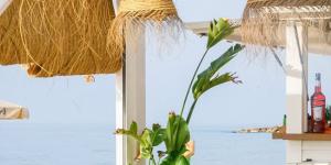 Papaya Beach Sitges