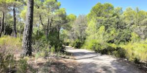 Zona recreativa Menut II