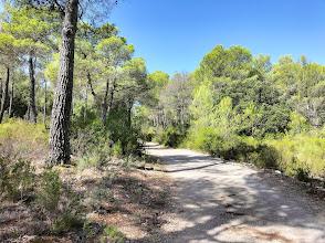 Zona recreativa Menut II