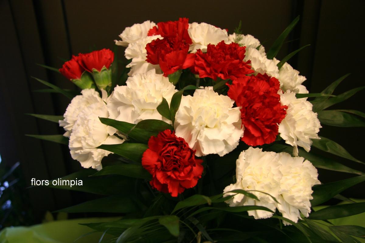 Floristería Olimpia