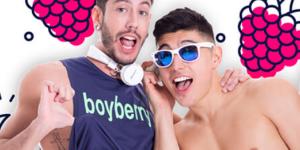 Boyberry