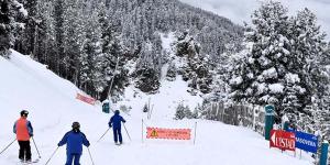 Masella