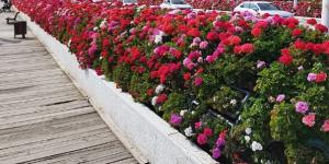Puente de las Flores - Alcaldesa Rita Barberá