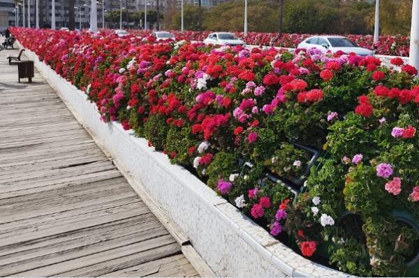 Puente de las Flores - Alcaldesa Rita Barberá