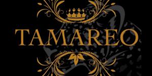 Pub Tamareo
