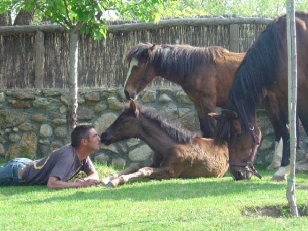 Caballos Del Valle