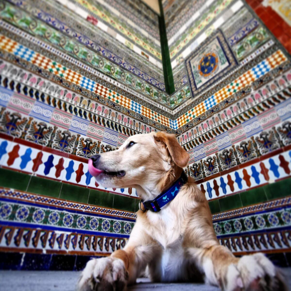 Ruta a la Cartuja de Sevilla