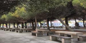 Zona de picnic y descanso El Arbeyal