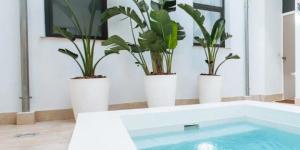 Lola de Triana Apartments