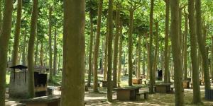 Picnic El Pol