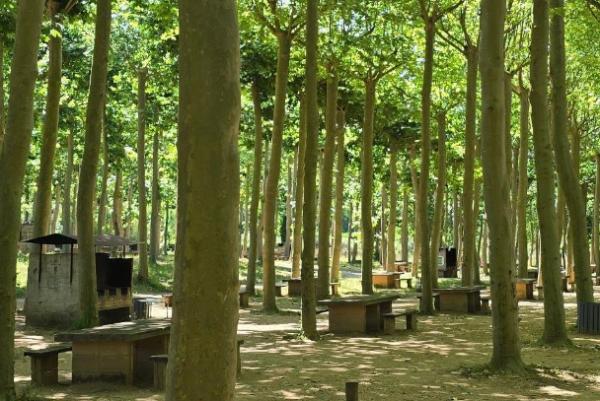 Picnic El Pol