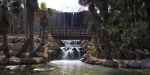 Parque El Palmeral