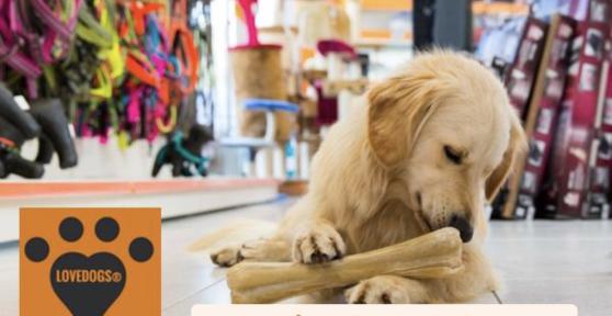 LoveDogs