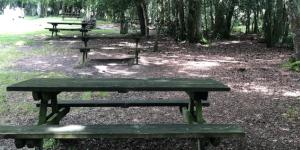 Àrea recreativa el Prauco
