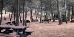 Fondo del Mata