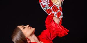 Tablao Flamenco TORERO · Essential Flamenco