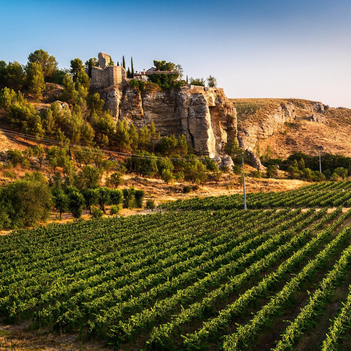 Licinia Wines