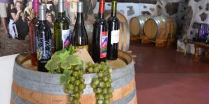 Bodega los Berrazales