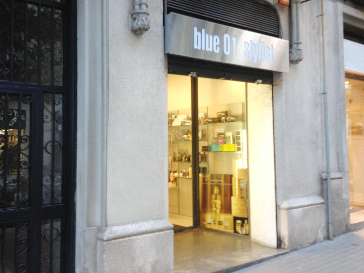 Blue 01 Stylist by Felix Rojas