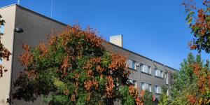 Ibis Madrid Getafe