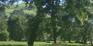 Parque de barbacoas Selaya