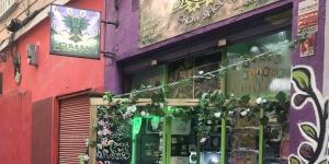 Green Dragon Grow Shop