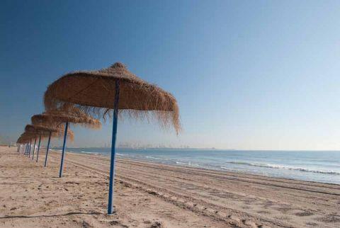 Playa l'arbre del Gos