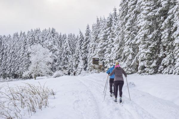 Sitios baratos para esquiar en España - Grandvalira (Andorra)