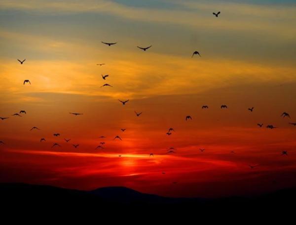 Dónde ver el atardecer en Valencia